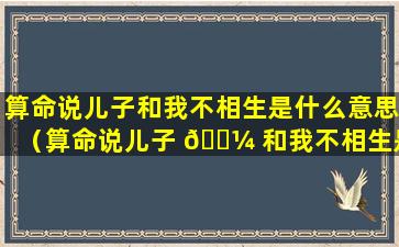 算命说儿子和我不相生是什么意思（算命说儿子 🌼 和我不相生是什么意思呢）